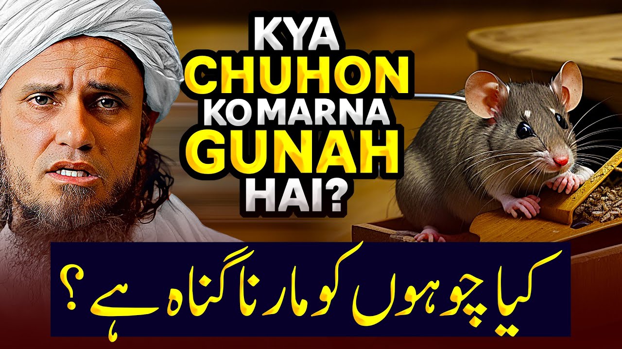 Kya Chuho Ko Marna Gunah Hai? | Ask Mufti Tariq Masoo
